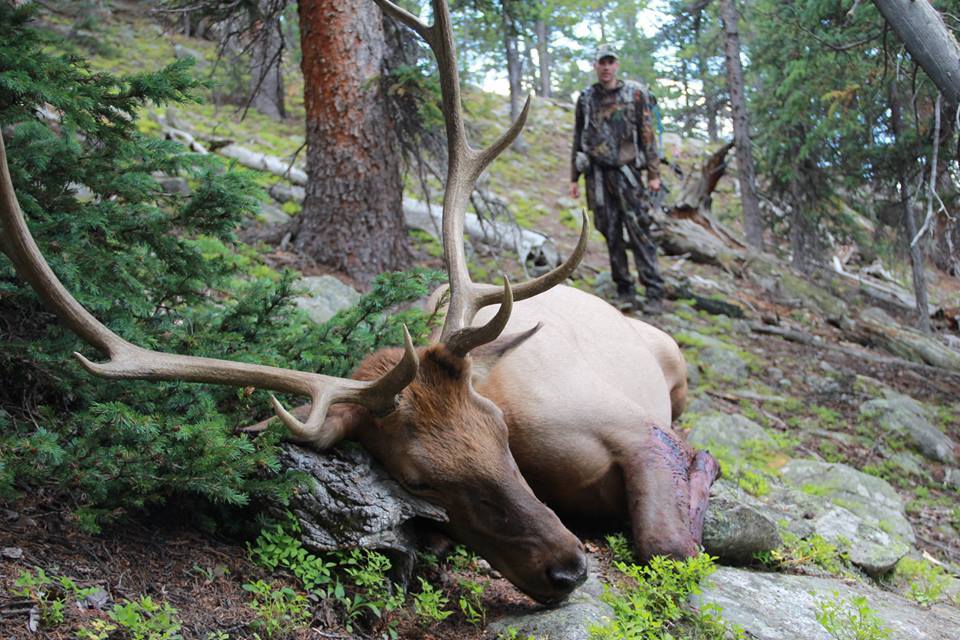 Aei Guide And Outfitter: ARCHERY ELK HUNTING
