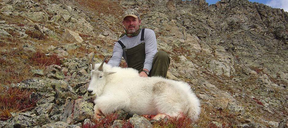 Aei Guide And Outfitter: TROPHY MOUNTAIN GOAT HUNT