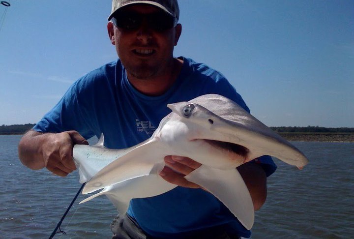 Affinity Charters Fishing Guide: Summer Shark Fishing Special