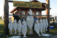 Afishunt Charters Inc:  Seward Silvers/ Variety Fishing Trips