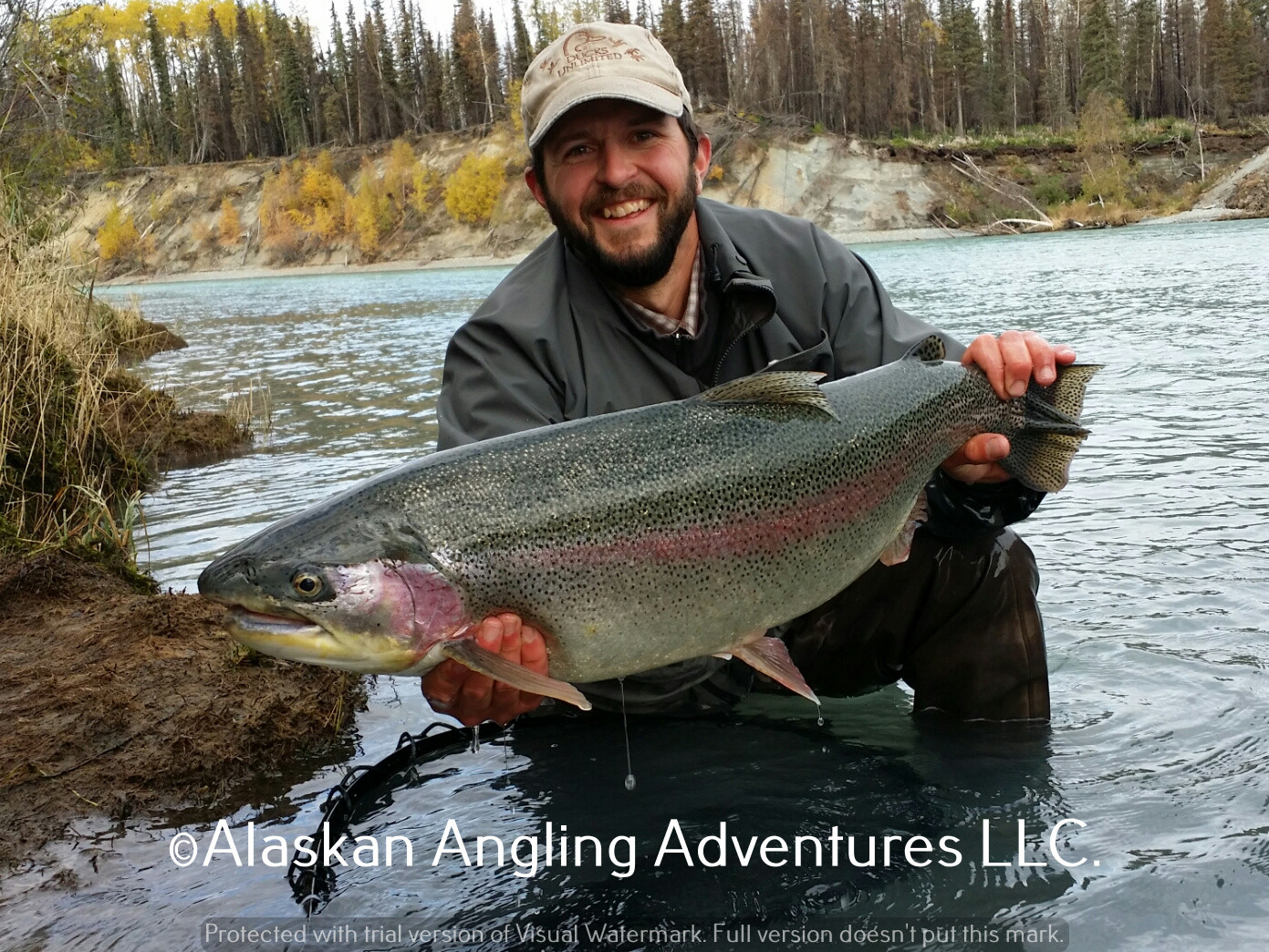 Alaskan Angling Adventures Llc.: Full Day Middle Kenai RiverFishing Trip