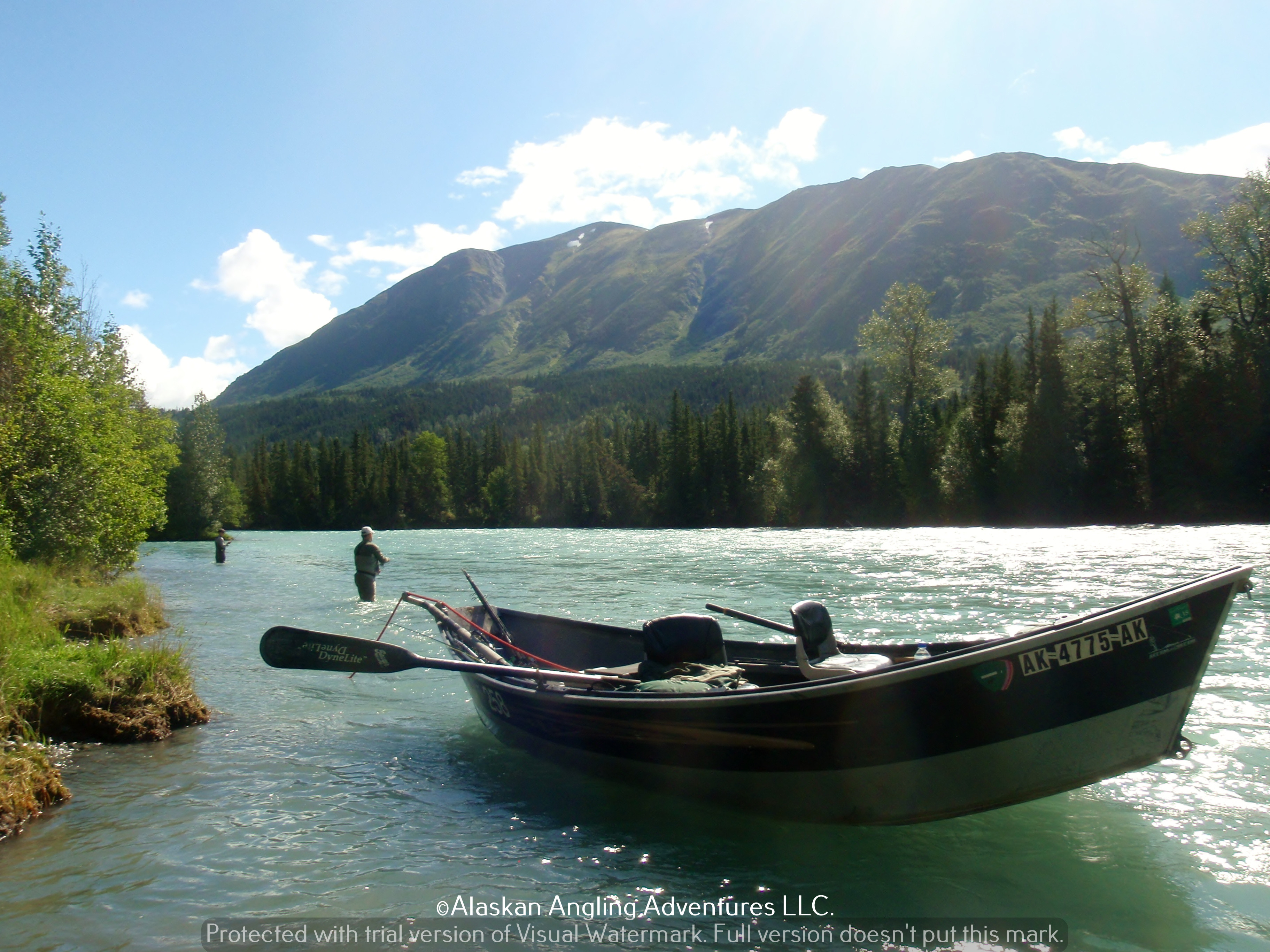 Alaskan Angling Adventures Llc.: Half Day Upper Kenai River Fishing Trip