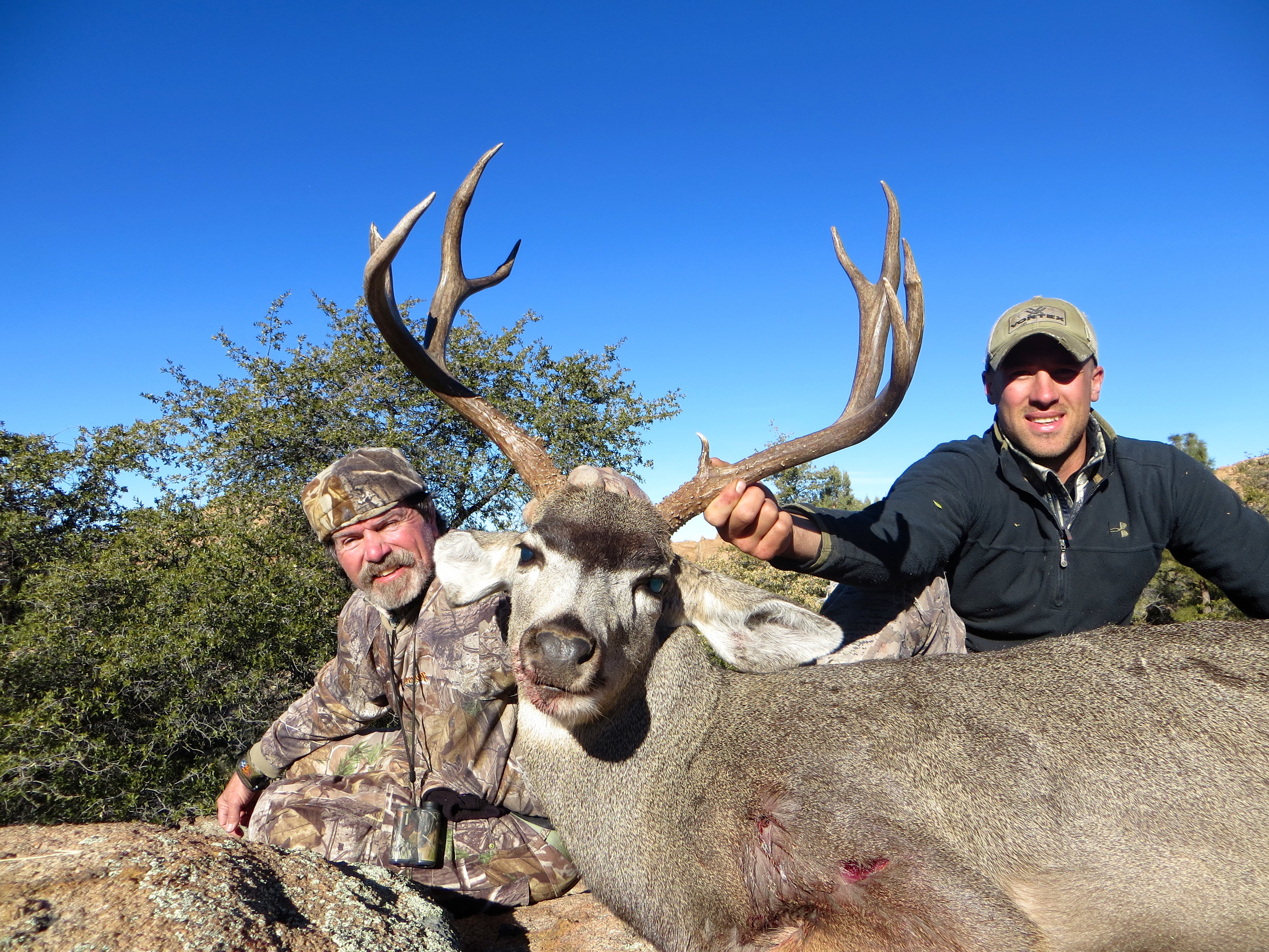 Arizona Trophy Outfitters: Archery Deer and  Javelina Combo