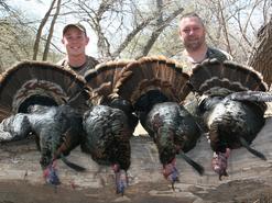 Arrowhead Wilderness Outfitters: Grande Wild Turkey Hunt – Spring – Kansas  Premium Package