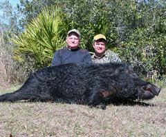 Arrowhead Wilderness Outfitters: Hog Hunt - Florida