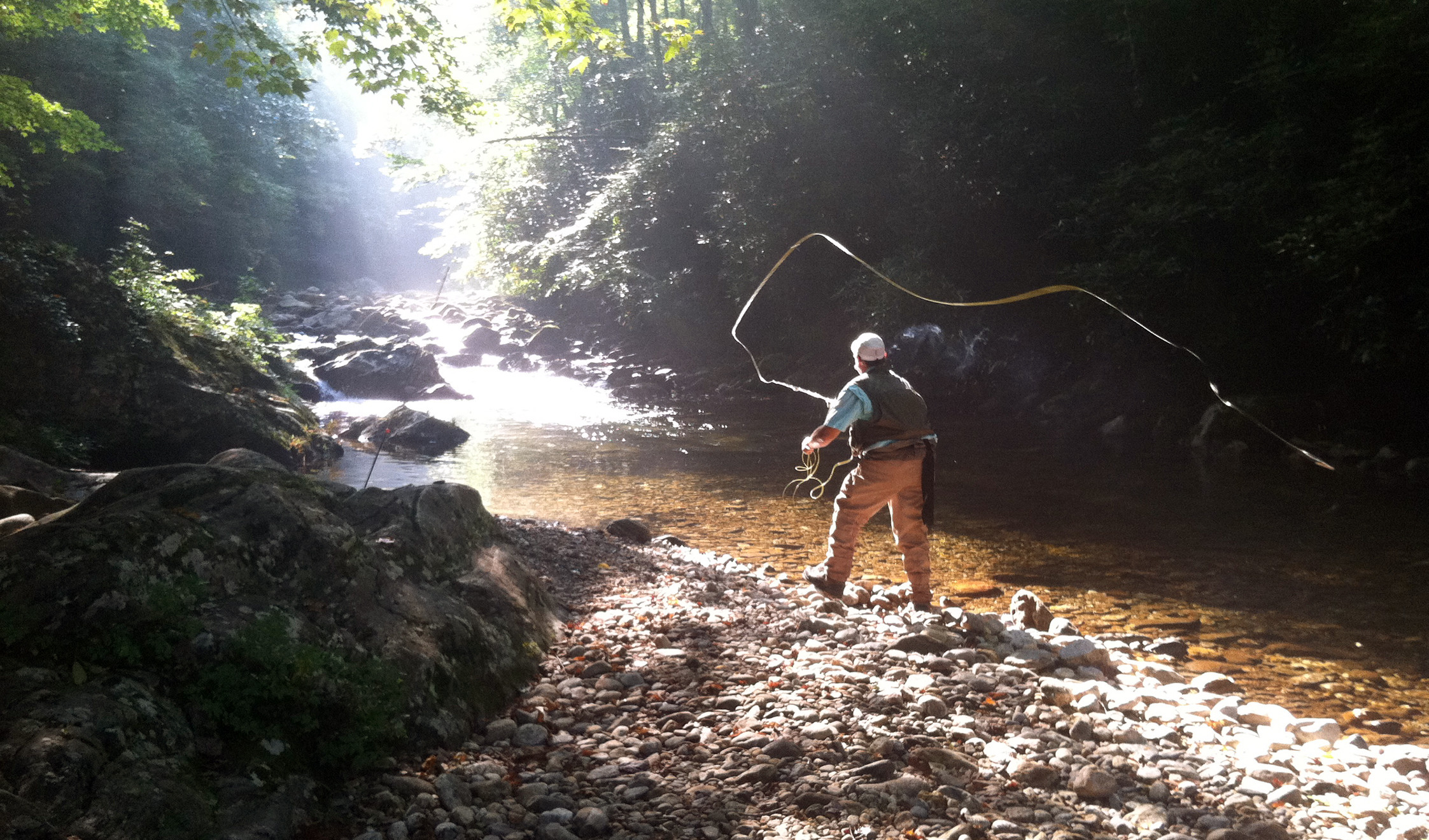 Asheville Fly Fishing Company: Full Day Wade Trip