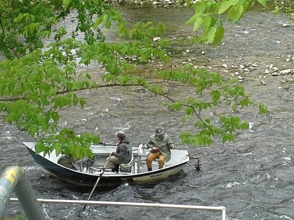 Baldheaded Bobby Guide Service: Southern Appalachian River Fishing