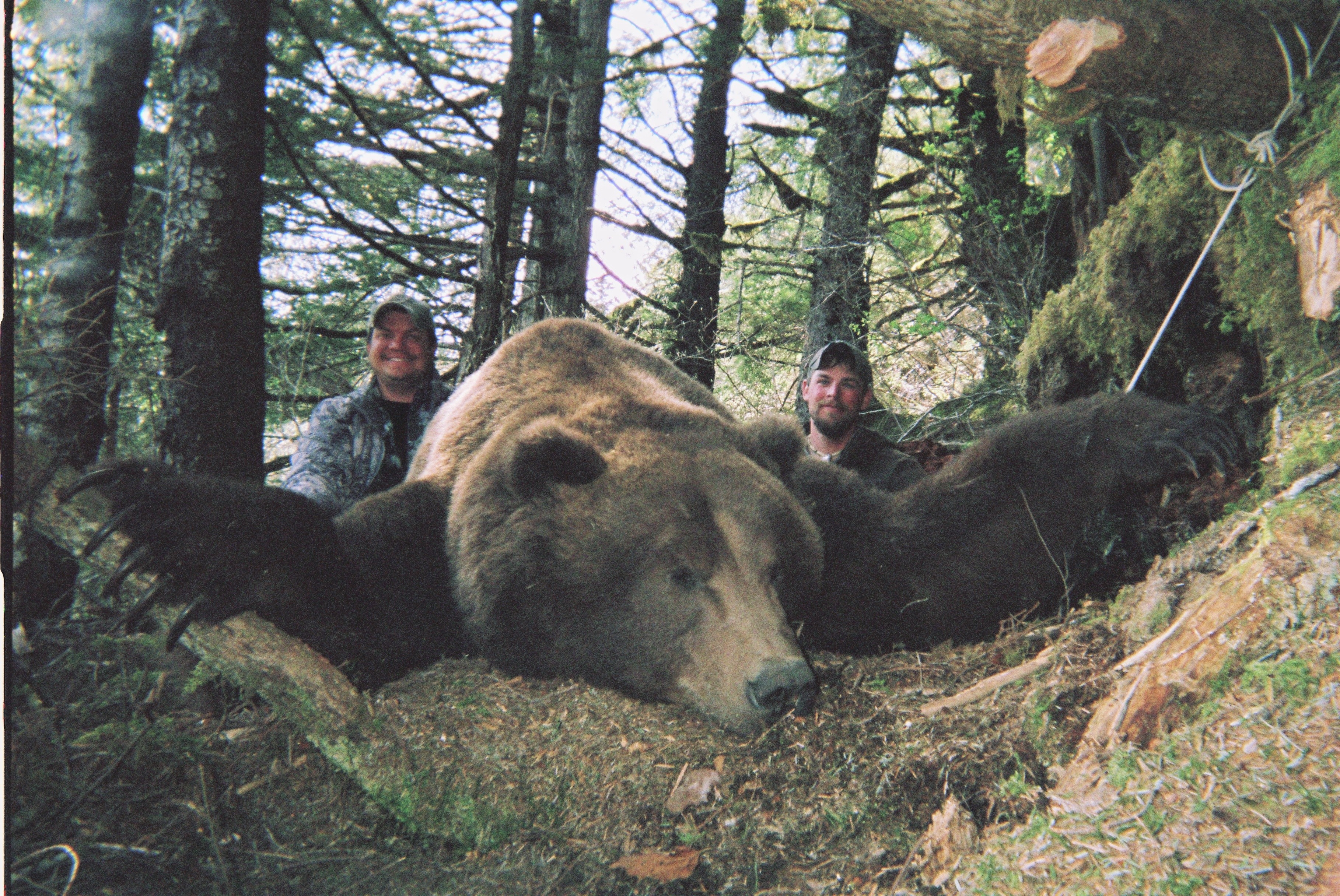 Barela's Alaskan Outfitters: Mountain Goat/Brown Bear Hunt