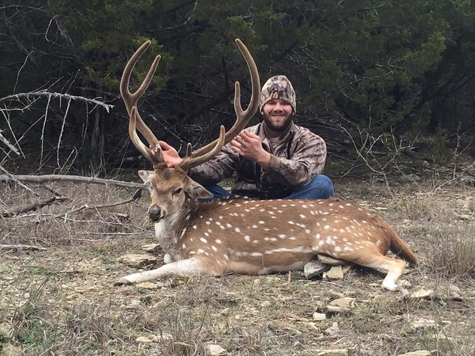 Barnes Keith Ranch: Axis Buck Exotic Game Package