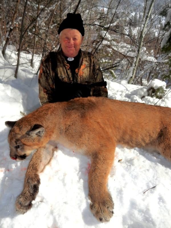 Bearpaw Outfitters: Idaho Tom Cougar Hunting