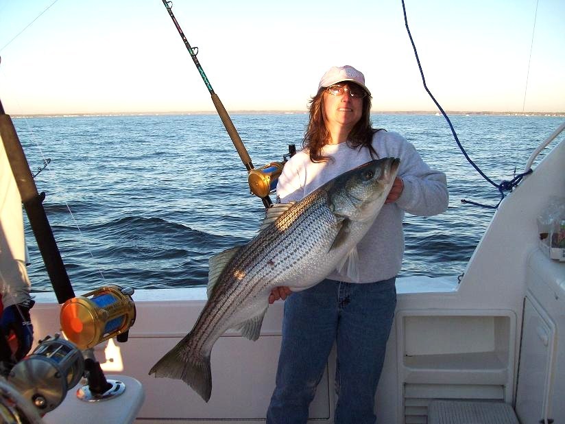 Bill 4 Bills Sportfishing: Chesapeake Bay Full Day