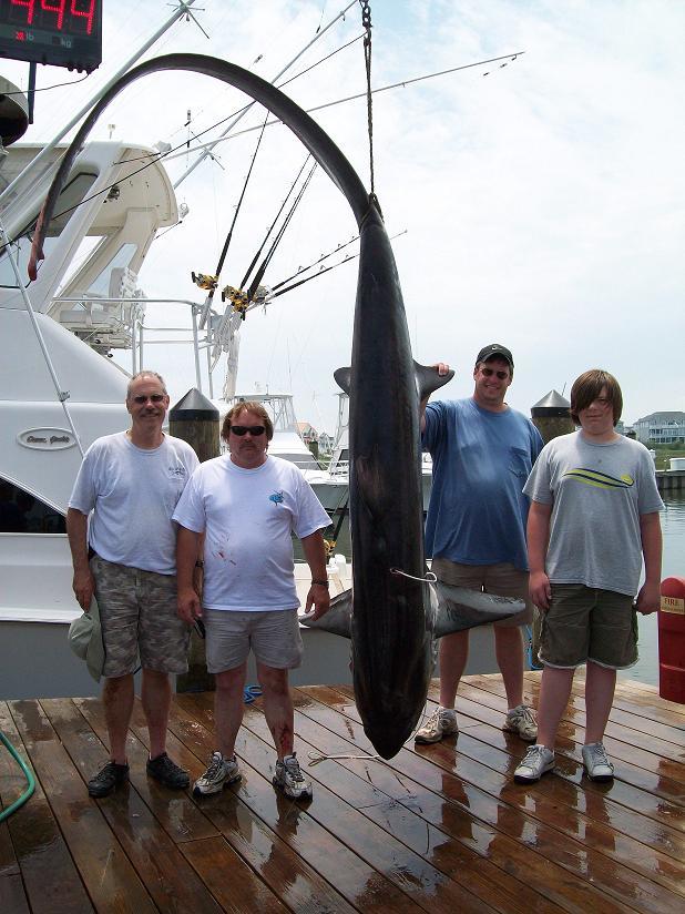 Bill 4 Bills Sportfishing: Shark Fishing Trip