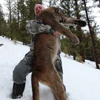 Bitterroot Outfitters: Mountain Lion Hunts