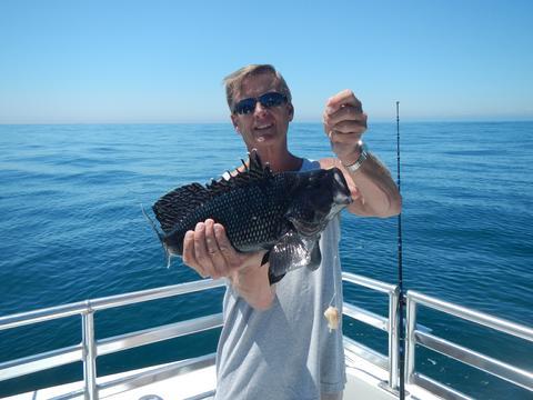 Cape Queen Charters: 1/2 Day Fishing Trip