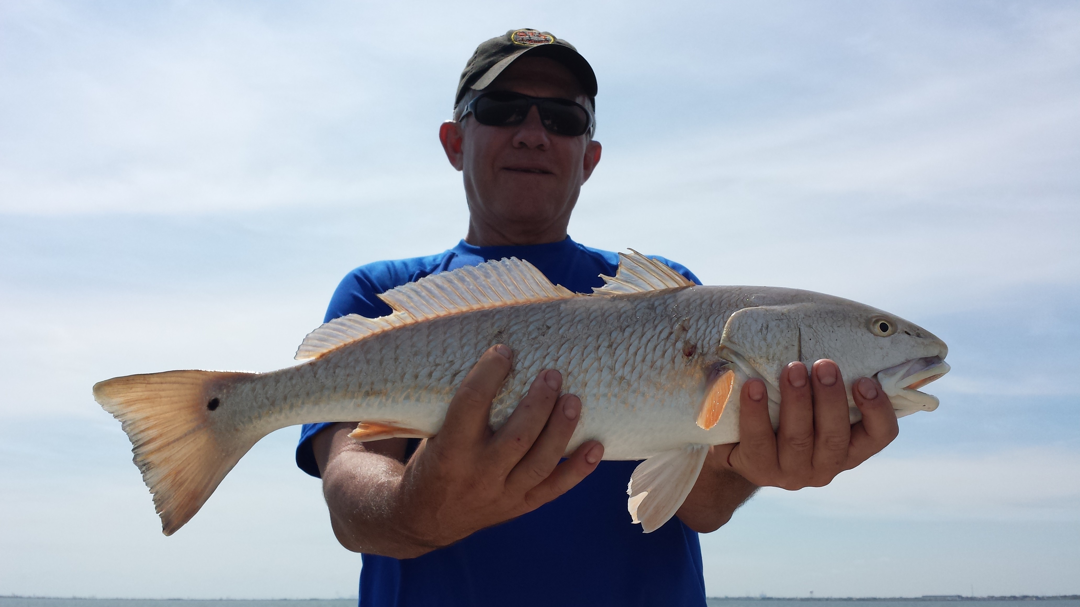 Capt. Scott Mccune: 1/2 Day Bay Fishing Trip
