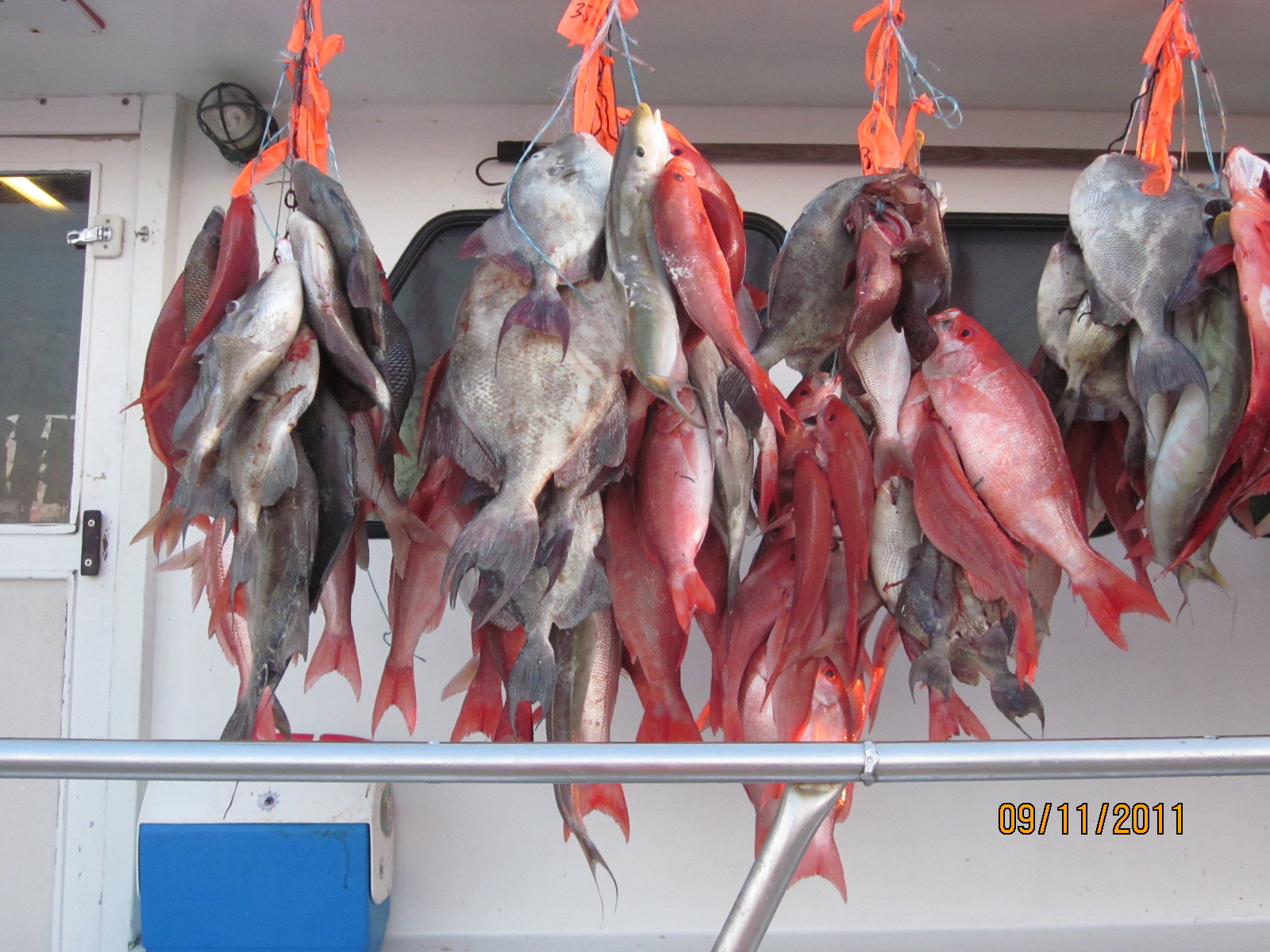 Capt Stacy Fishing Charters: Full Day Fishing
