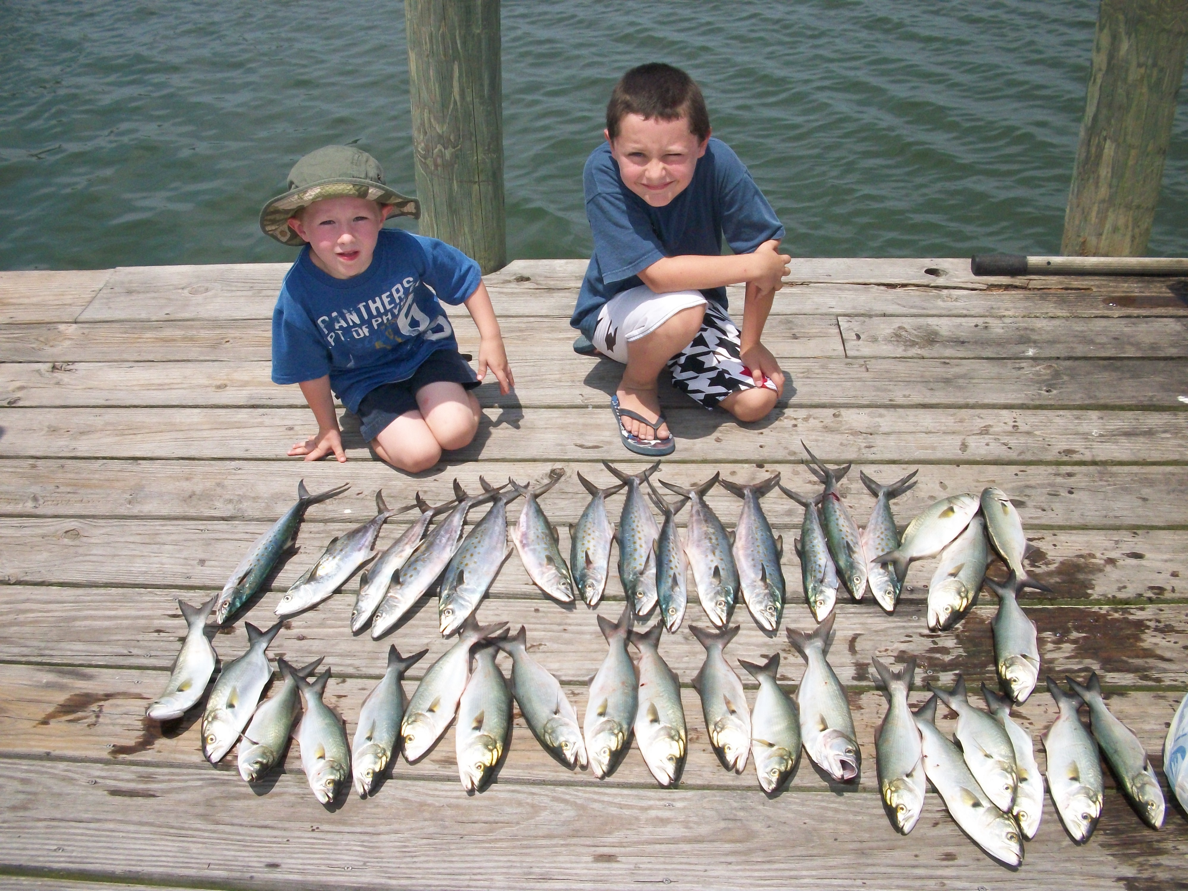 Carolina Style Sportfishing: Inshore Half Day 