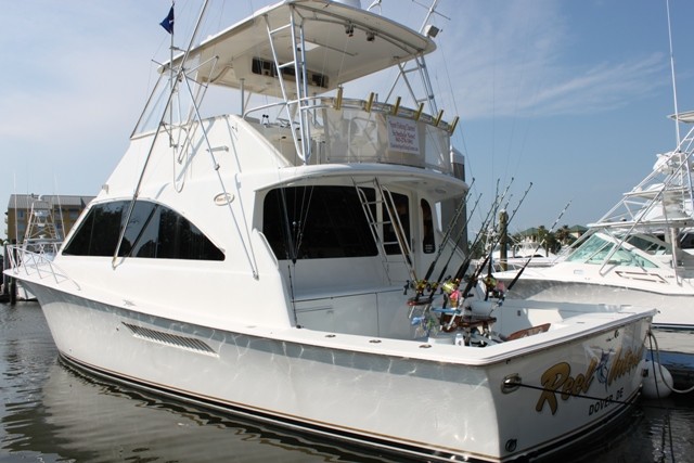 Charleston Sport Fishing Charters: Harbor Cruises