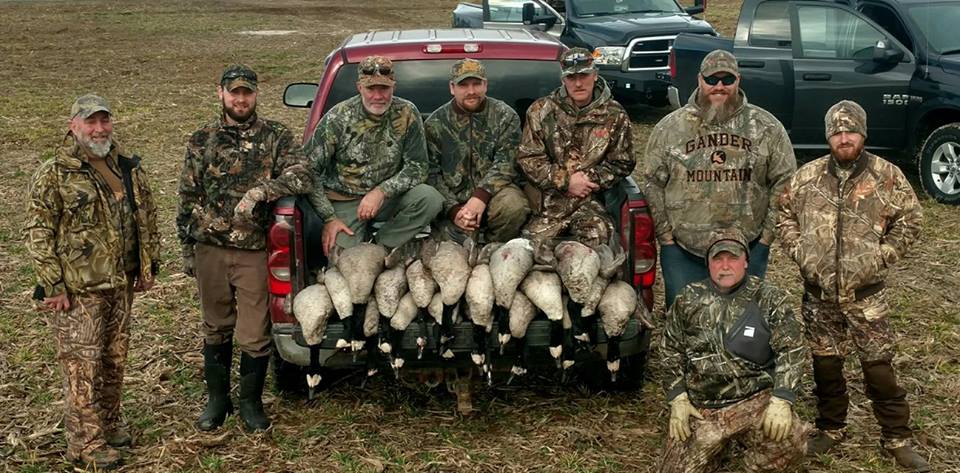 Chesapeake Guide Service: Canadian Geese