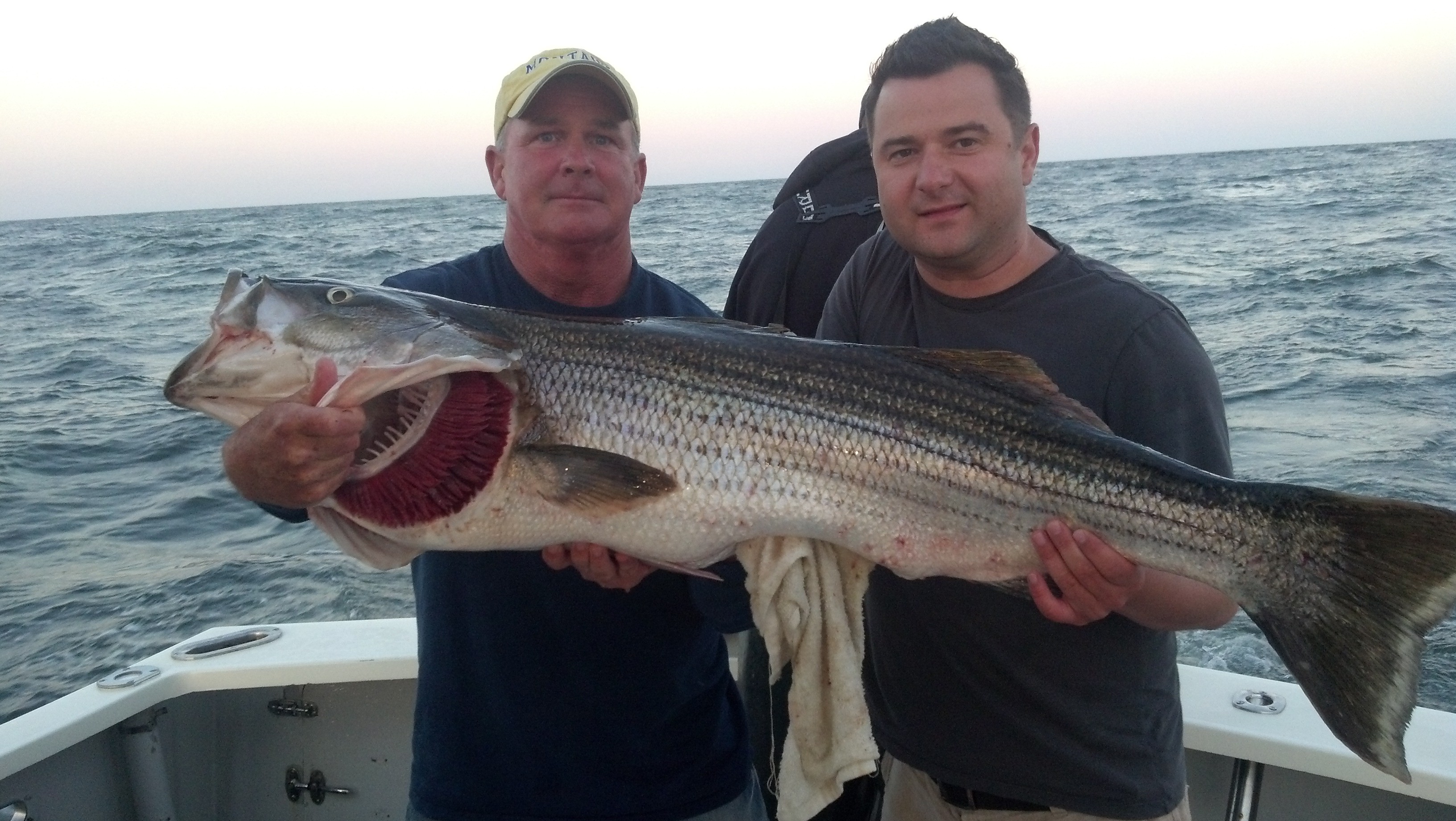 Codfather Fishing Charters: 1/2 Day / Twilight Trips