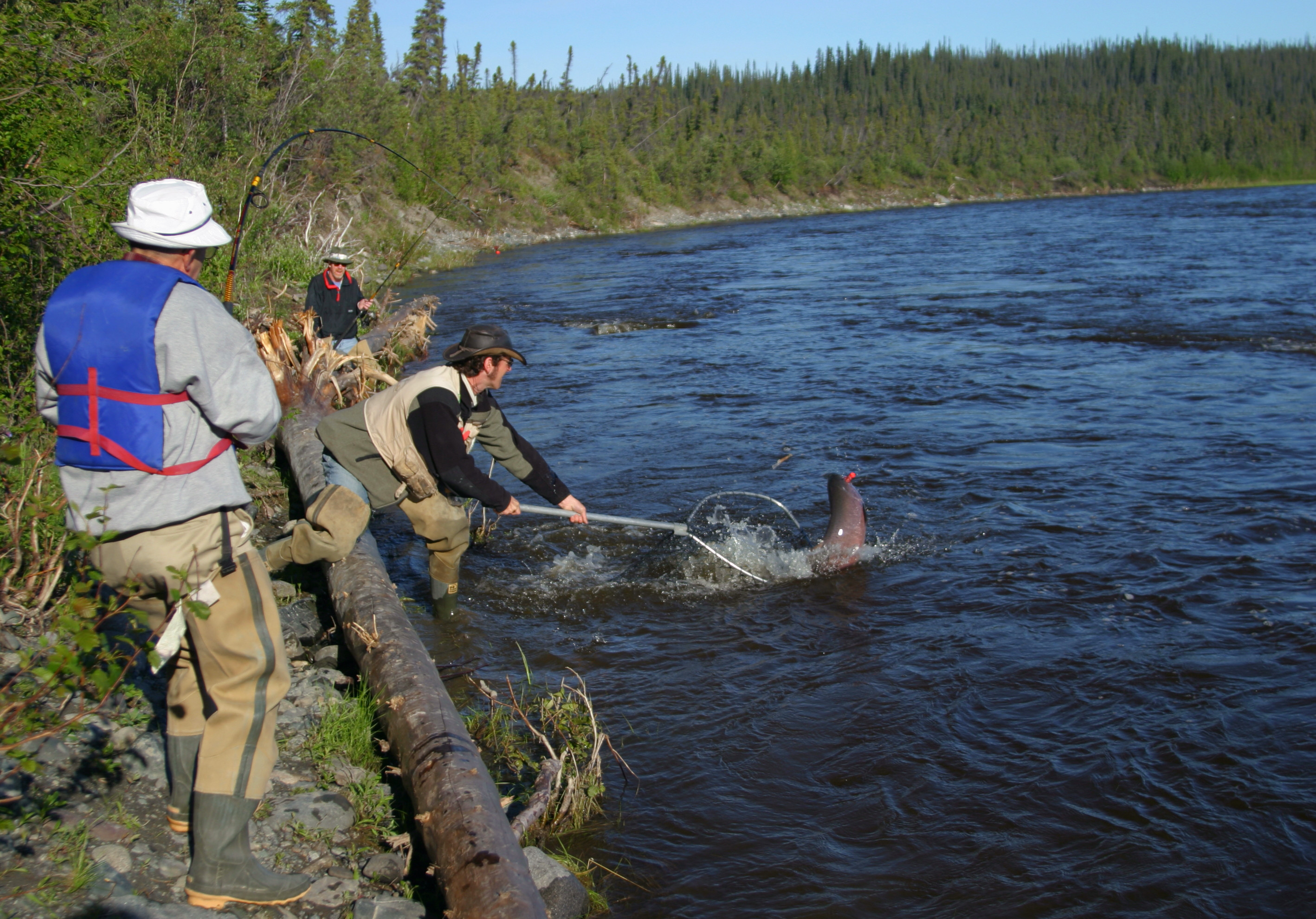 Copper River Salmon Charters: Gulkana River Fishing Charters