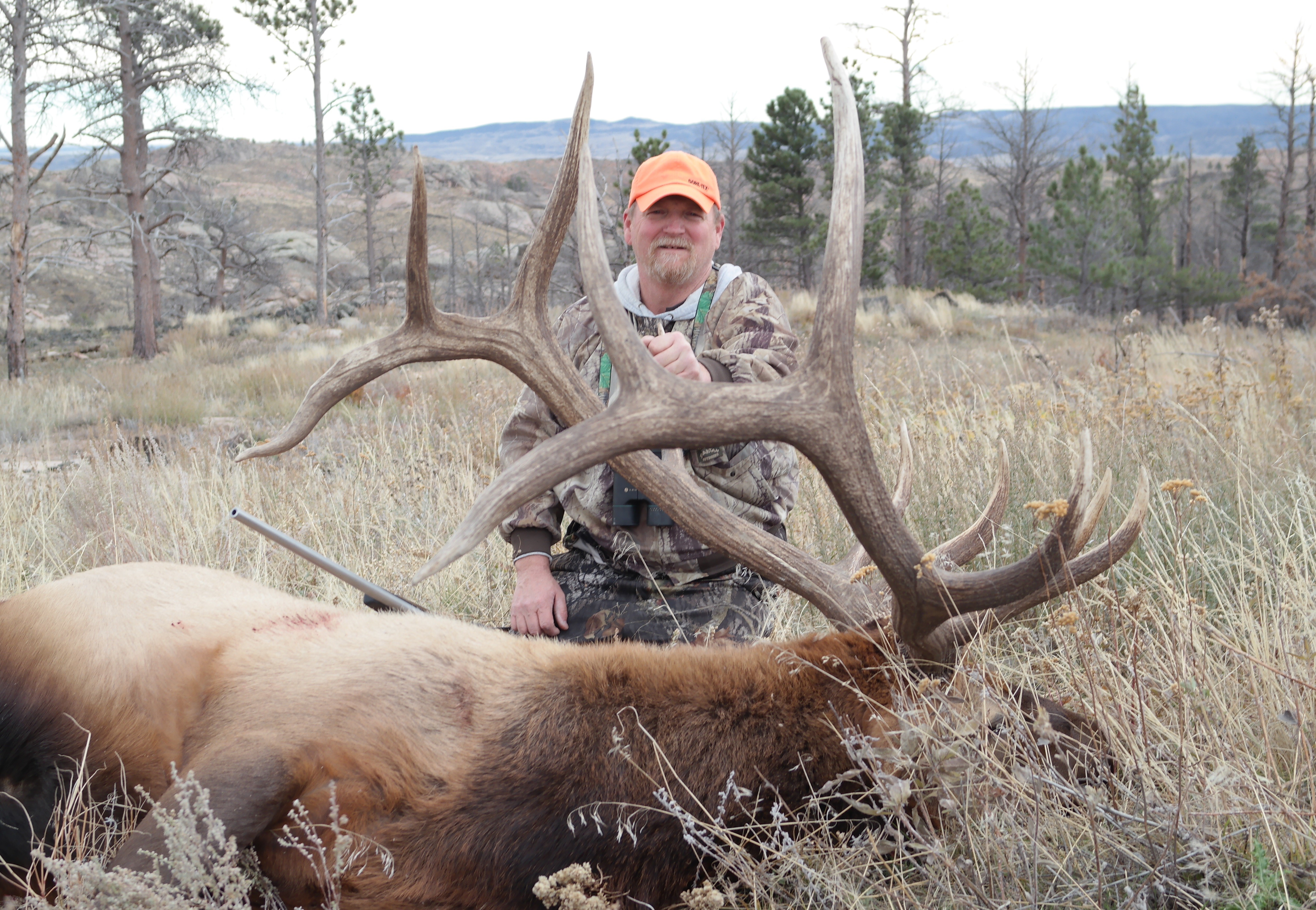 Cross C Ranch: Trophy Elk Hunts