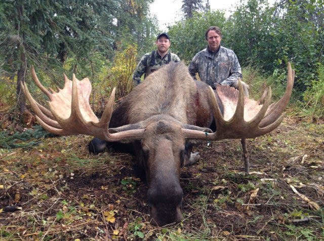 D And L Outfitters: Moose Hunt