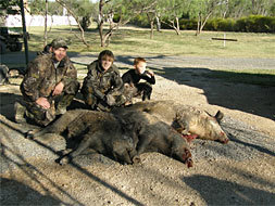 Dawson Whitetail Ranch: Texas Hog Hunt