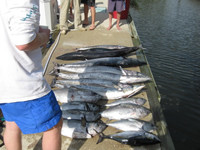 Daymaker Charters South Carolina: 3/4 Day Fishing Trip