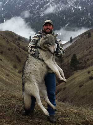 Deadwood Lodge Outfitters: Idaho Wolf Hunts