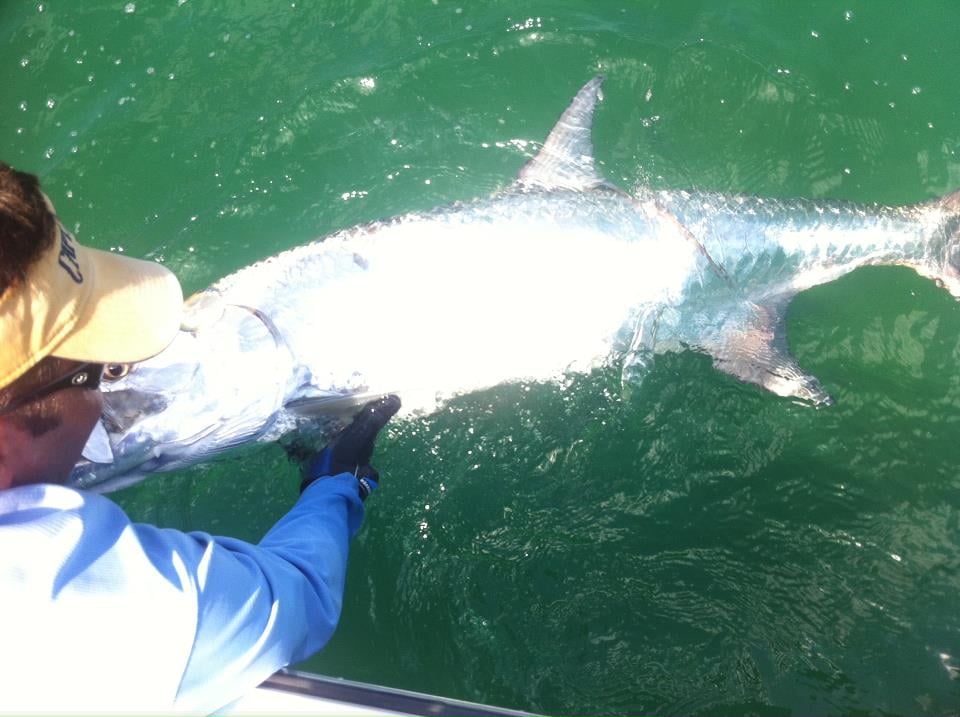 Dirty Waters Charters: 3/4 Day Fishing Trip