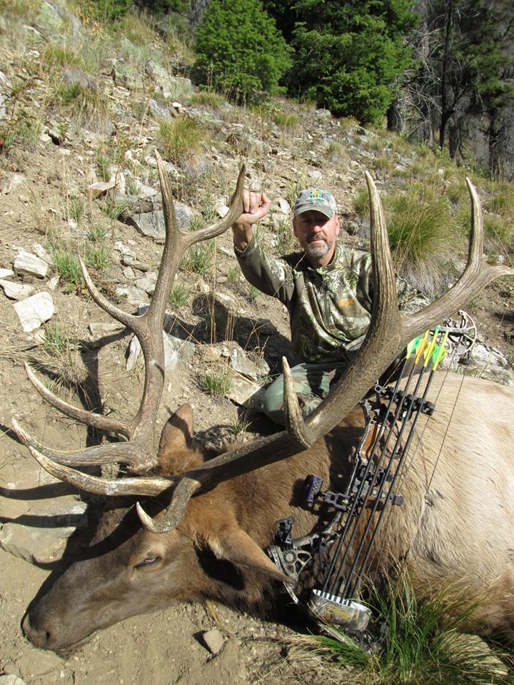 Elk Springs Outfitters: Archery Elk Hunt