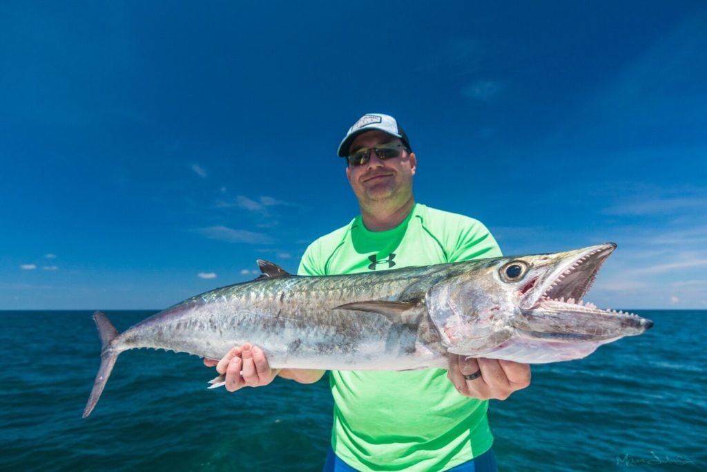 Endless Summer Charters, Inc.: Offshore Wreck/Reef Fishing