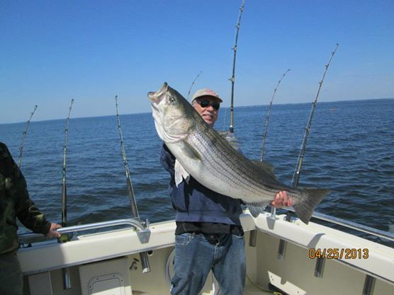 Fin Finder Fishing Charters: Fall Rockfish Trip