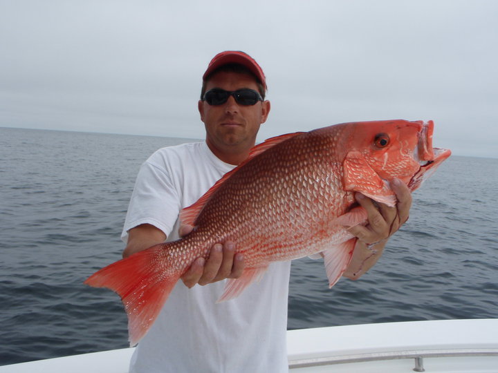 Fin Stalker Charters: Charter Package #2:  Inshore & Nearshore Reef   29ft CC 
