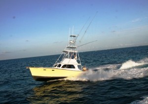 First Choice Florida Keys Charters: Day time Sword Fishing