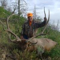 Flying J Outfitters: Cliffs Guided Bull Elk hunt