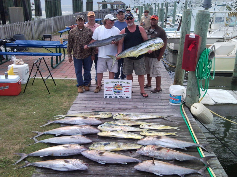 Four Reel Sport Fishing Charters: Example 1/2 Day Fishing Trip