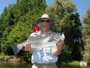 G And J Outdoor Enterprises: Drift Boat Fishing Trips - Striped Bass