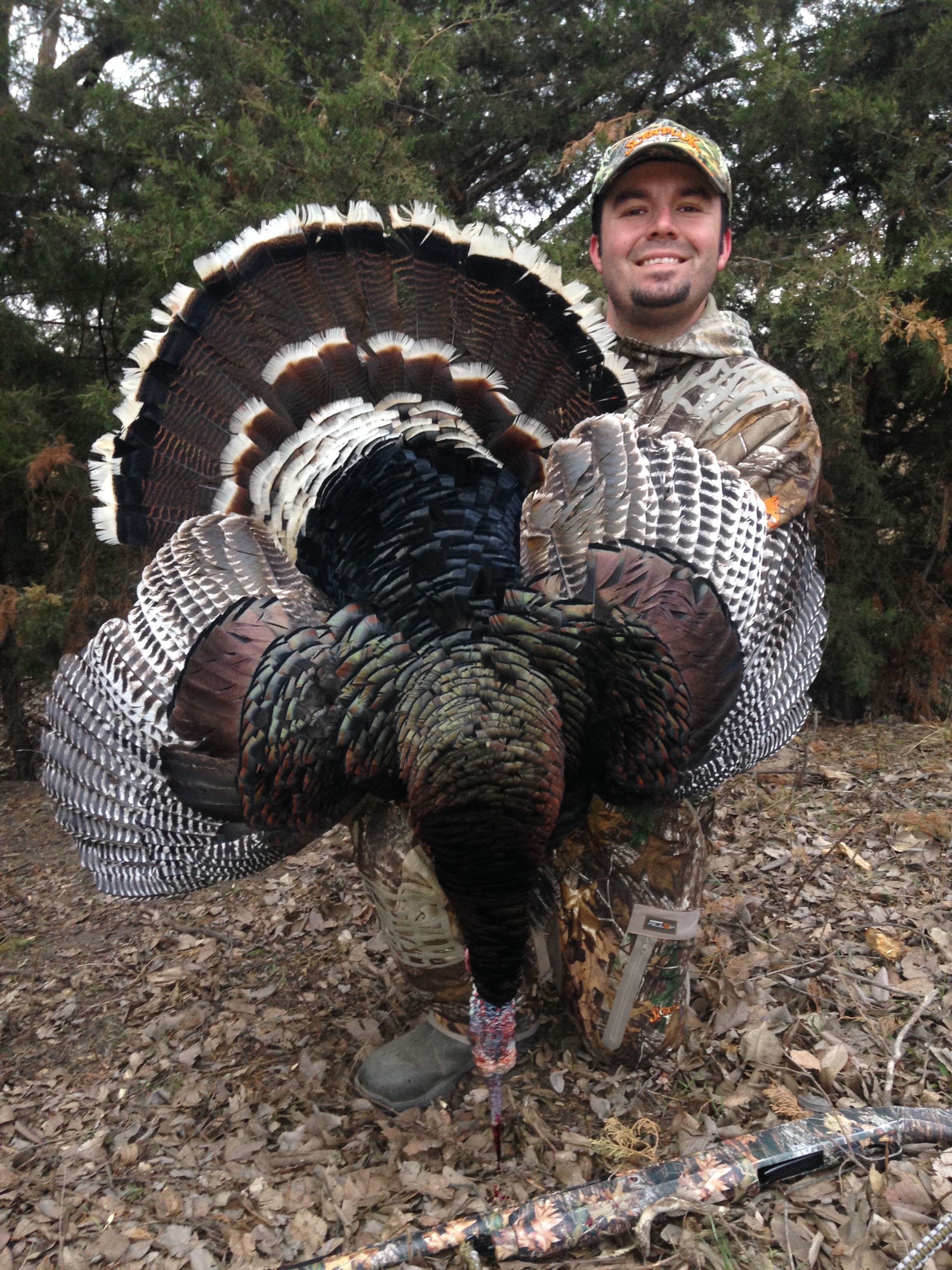 Gobble N Grunt Outfitters: Prairie King Lodge Turkey Hunts