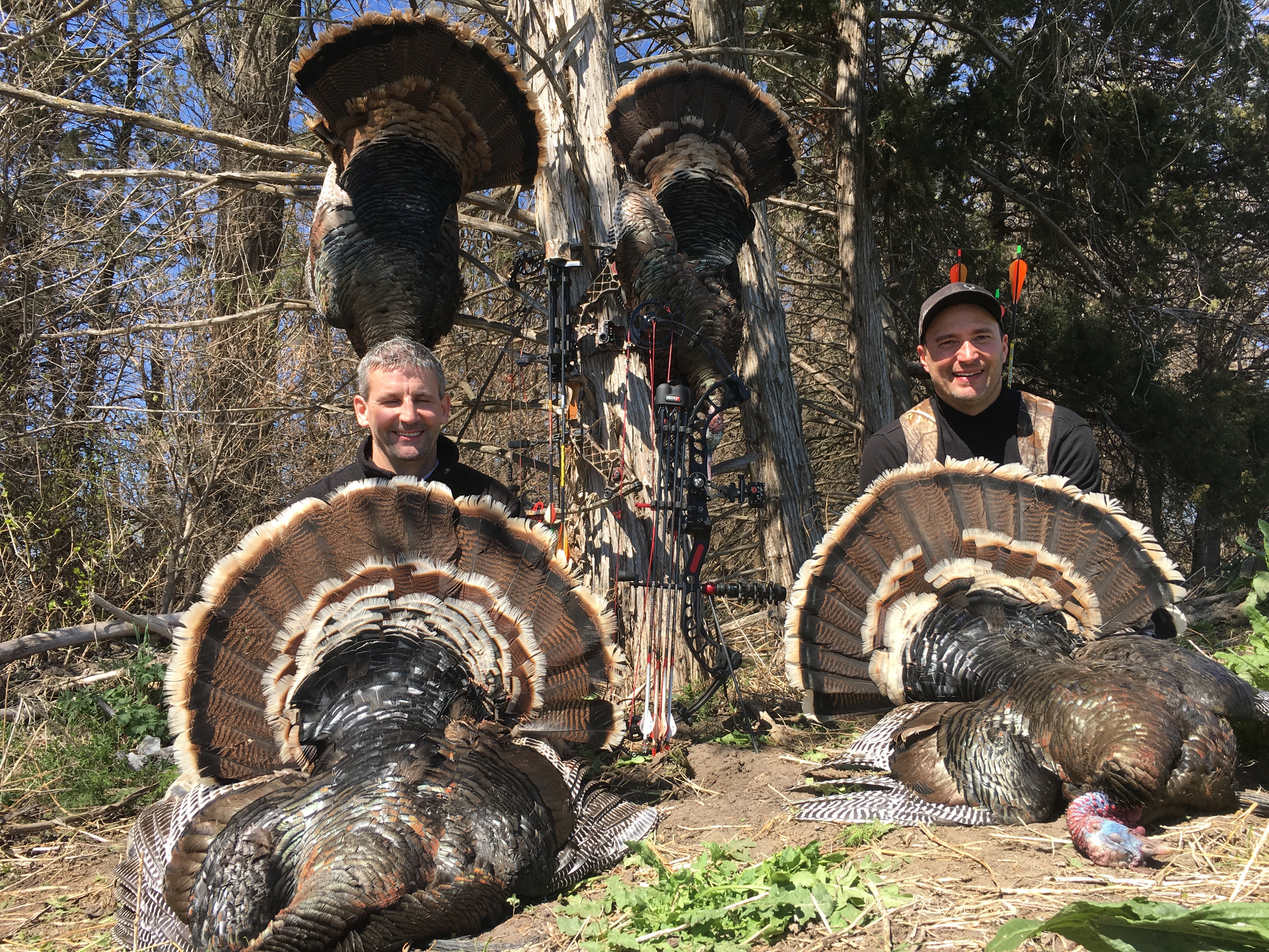Gobble N Grunt Outfitters: Turkey Creek Lodge Turkey Hunts