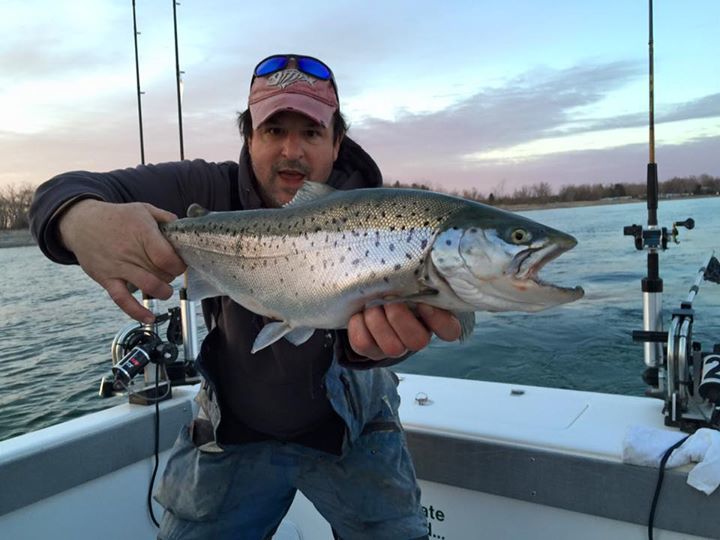 Good Times Sportfishing: April 1st  to June 30th Charters