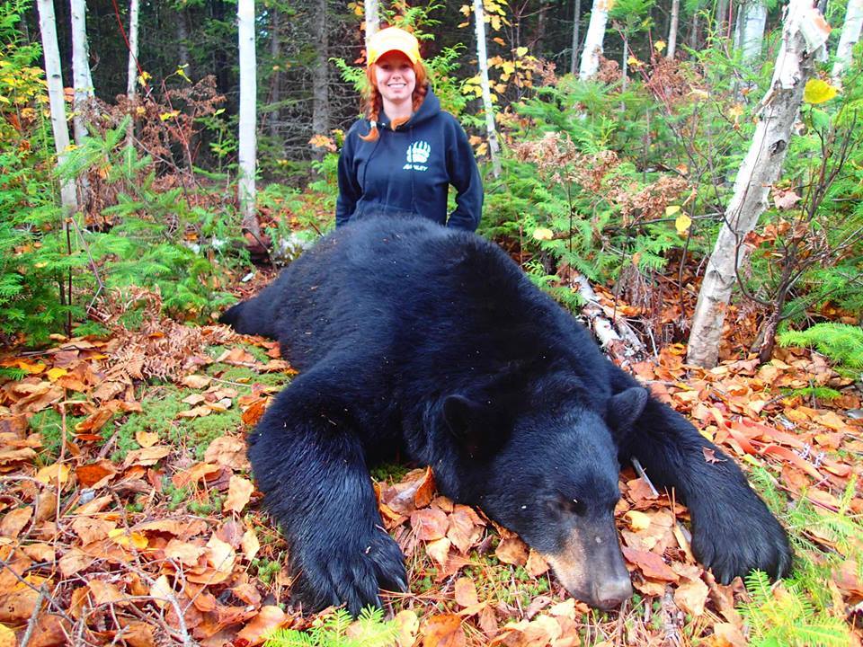 Great Northern Outfitters: Black Bear Guided Hunt