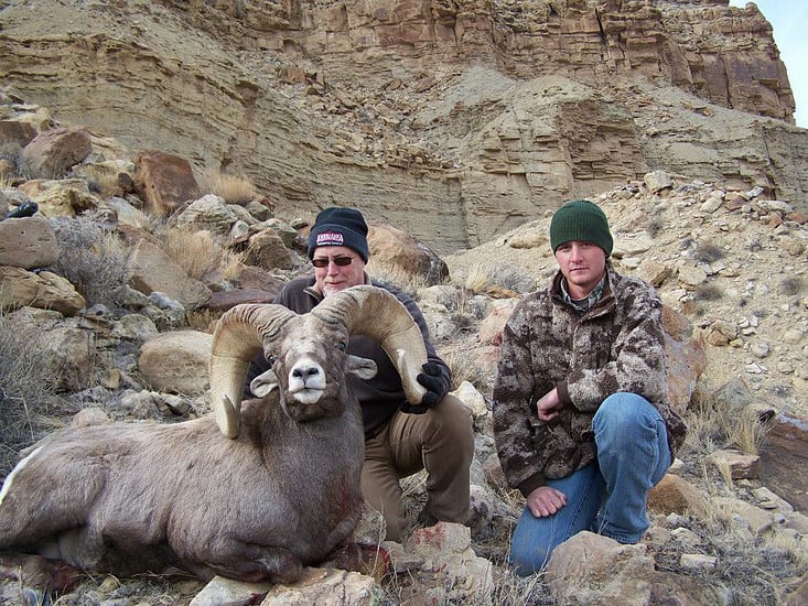 GT Outfitters: Bighorn Sheep Hunts