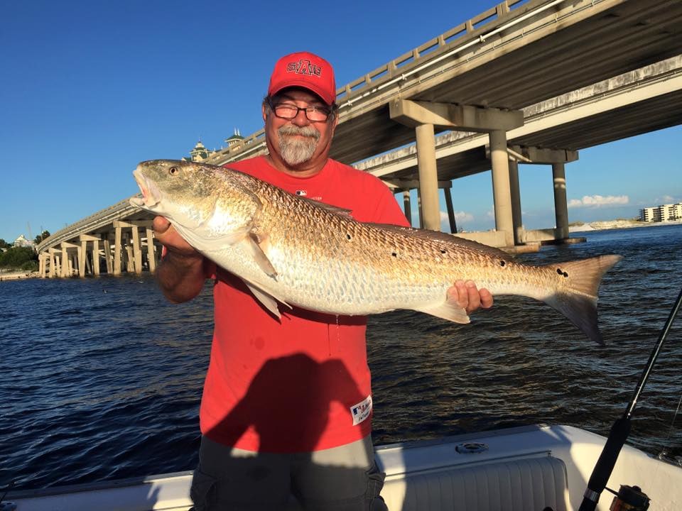 Gulf Angler Fishing Charters: Blacktip H Destin Afternoon Near Shore Charter