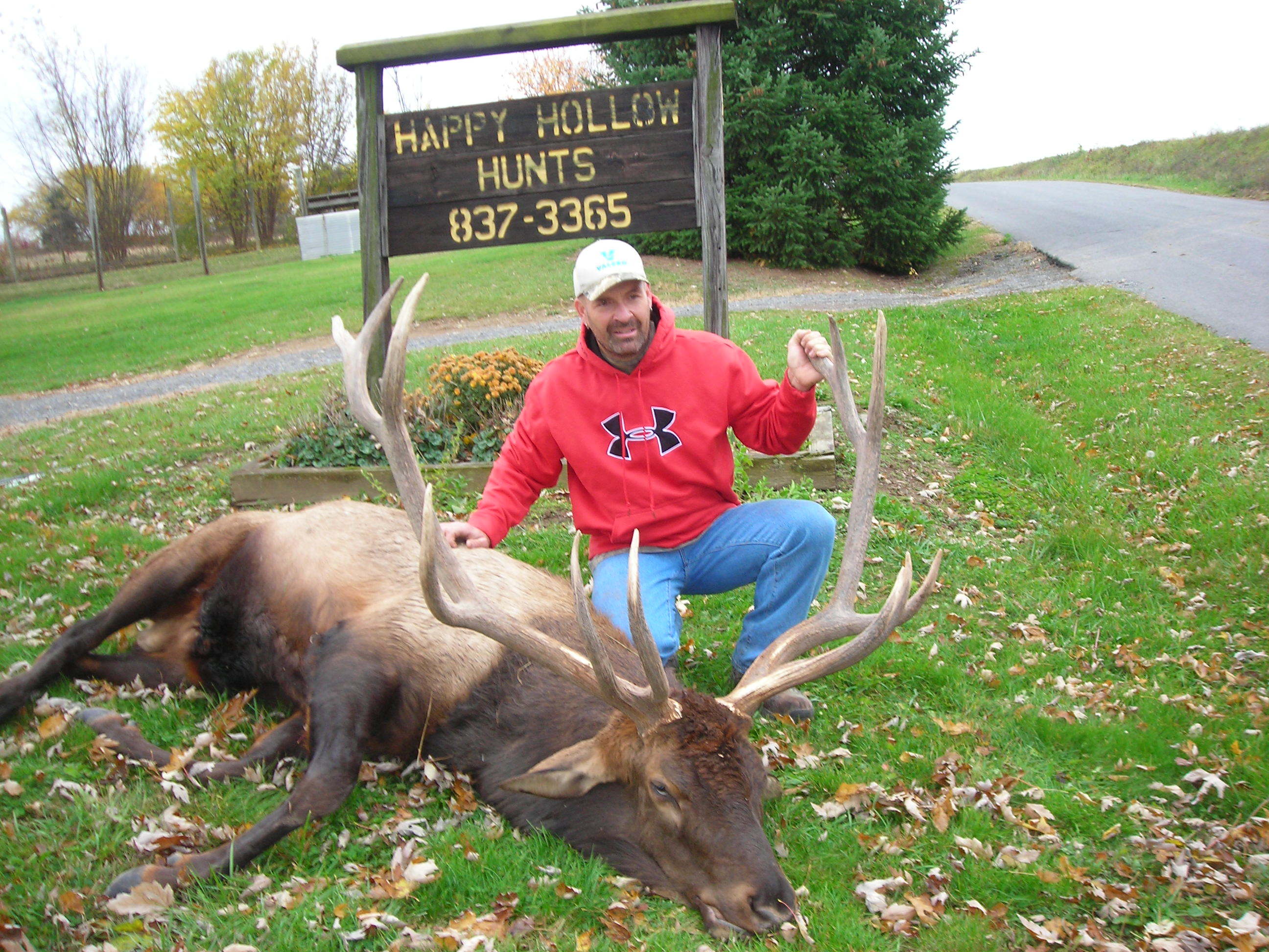 Happy Hollow Hunts: elk