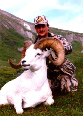 High Adventure Air Charter Guides & Outfitters: GUIDED DALL SHEEP HUNT