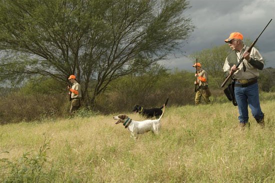 Inflight Outfitters: Bobwhite Quail Hunt