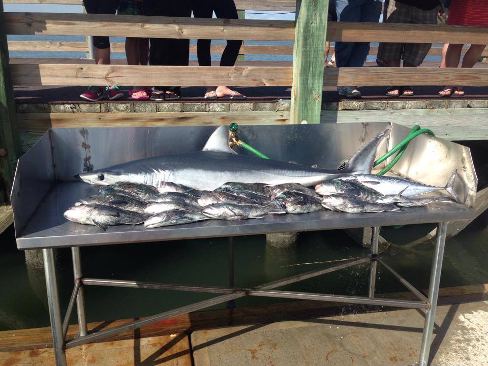 Integrity Charter Fishing: Full Day Trips