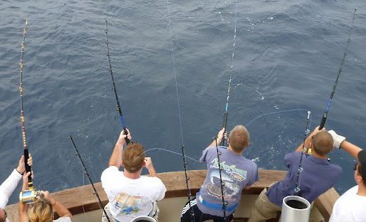Island Girl Charters: Inshore Fishing Trip